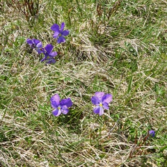 DSC05153