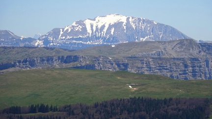 DSC05175